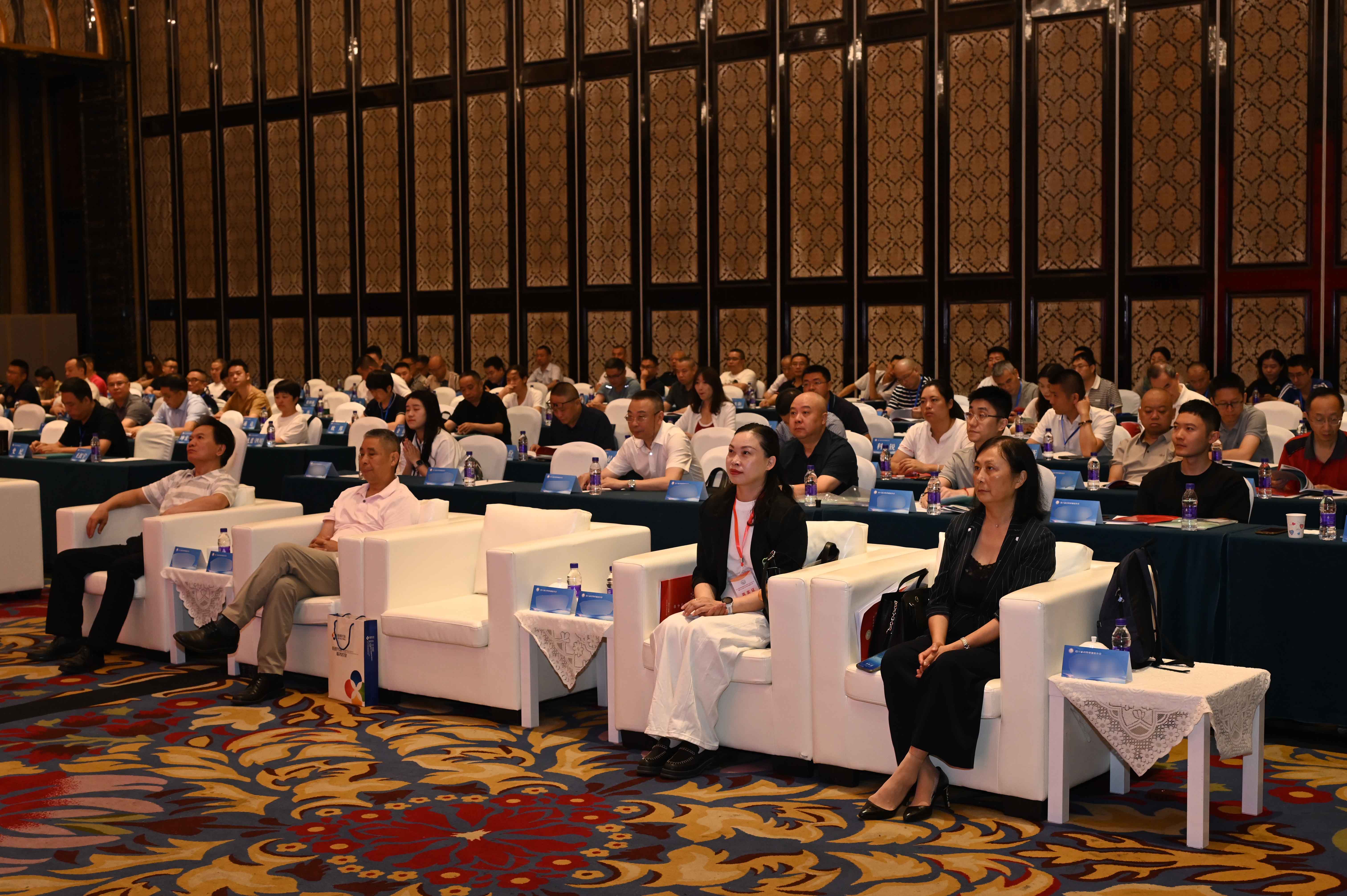 1749108517641173.jpg DSC_5945.jpg